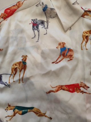 Blusa Zara Estampada Perros Multicolor