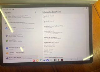 Tablet Samsung Galaxy Tab S10 FE Gris