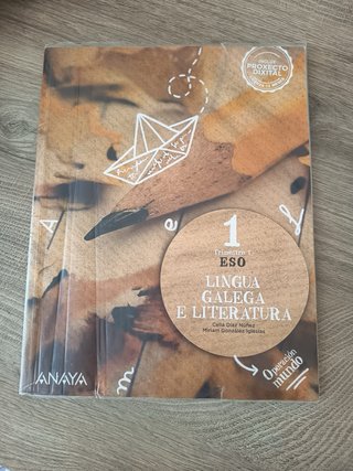 Tres libros de gallego y literatura idioma gallego