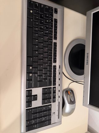 Ordenador MSI Negro con Pantalla Samsung