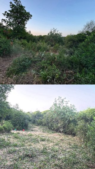 SERVICIOS DE PODA Y JARDINERIA