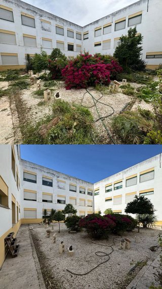 SERVICIOS DE PODA Y JARDINERIA