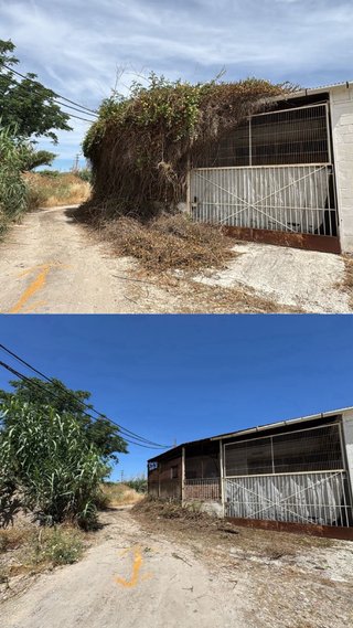 SERVICIOS DE PODA Y JARDINERIA