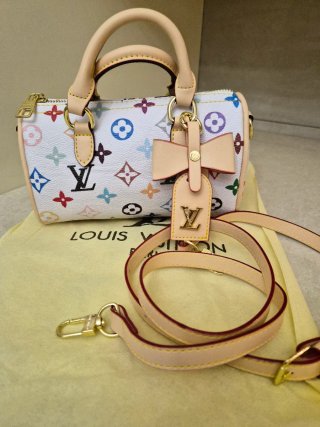 Borsa Louis Vuitton Multicolor