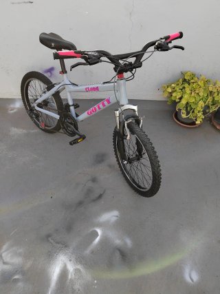 Bicicleta GOTTY