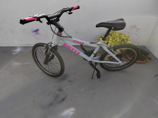Bicicleta GOTTY