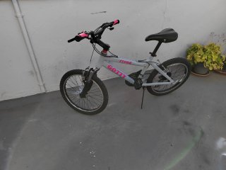 Bicicleta GOTTY