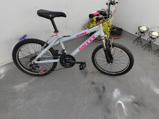 Bicicleta GOTTY