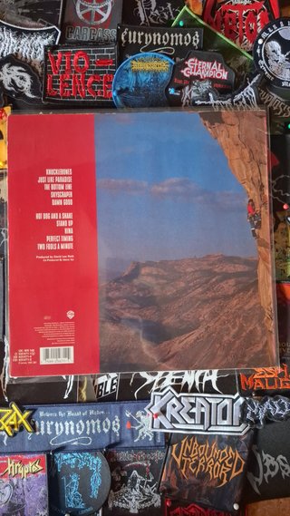 David Lee Roth Skyscraper Vinilo LP