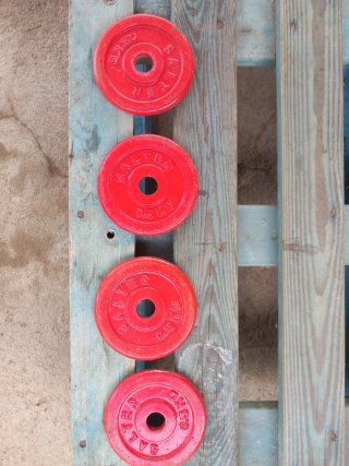 Pesas Salter 0.5kg