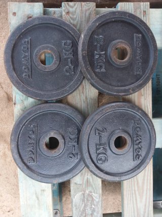 Discos de Pesas Domyos