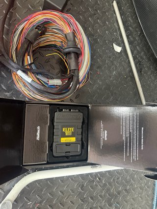 Haltech Elite 1500 con cableado