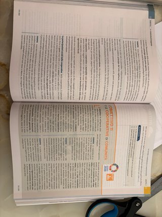 Attivi insieme volume 1