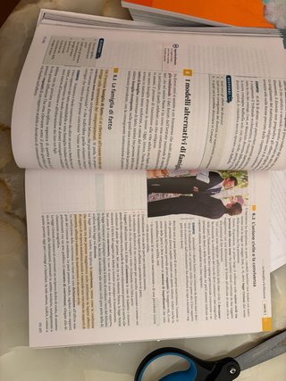 Attivi insieme volume 1