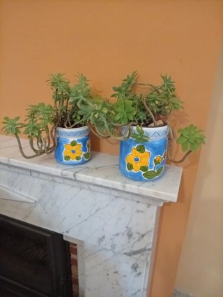 Pareja Tarros Vintage Loza con Sedum Palmeri