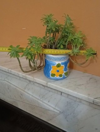 Pareja Tarros Vintage Loza con Sedum Palmeri