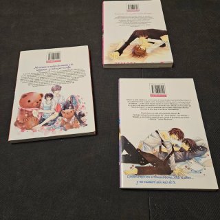 Junjo Romantica lote manga