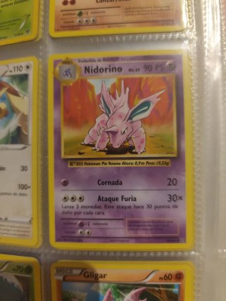 Carta Pokémon Nidorino Fase 1