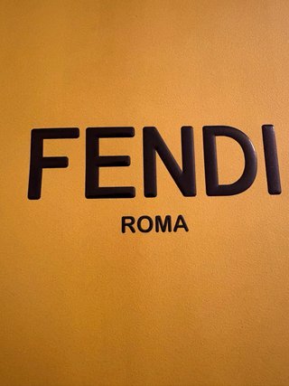 Busta Fendi  con Fiocco