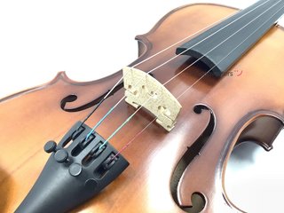 violin carlo giordano vs-0