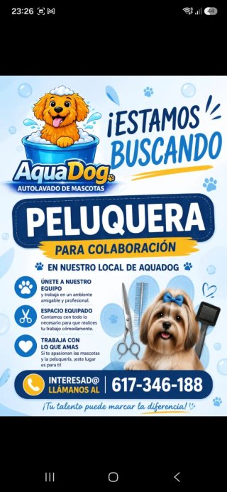 Colaboración