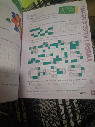 Matemàtiques, 6 Educació Primària, Programa Rao...
