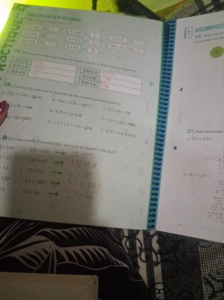 Matemàtiques, 6 Educació Primària, Programa Rao...