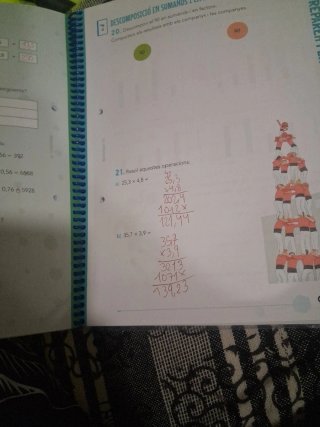 Matemàtiques, 6 Educació Primària, Programa Rao...