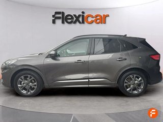 Ford Kuga ST-Line 2.0 EcoBlue 88kW (120CV) Auto