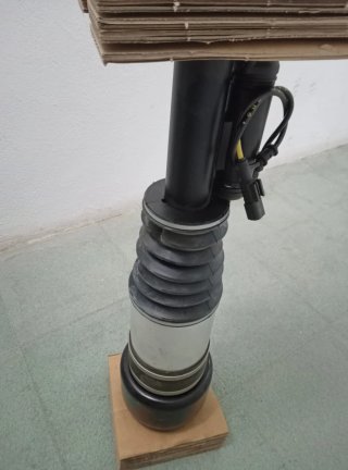 Suspensión Neumática Mercedes-Benz A219320121380