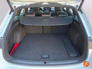 Cupra León SP 1.5 eTSI 110kW (150CV) DSG