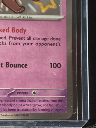 PAF 161 Dachsbun (Shiny) NM ING Paldean Fates