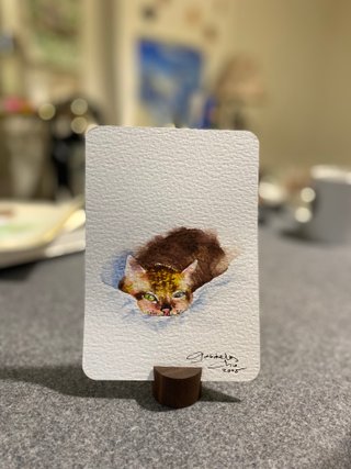 Cartoline con gattino in acquerello