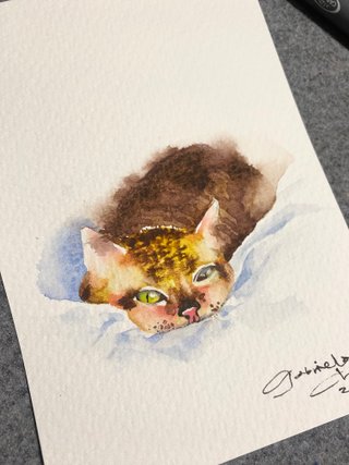 Cartoline con gattino in acquerello
