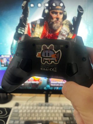 Mando Xbox GameSir Kaleid