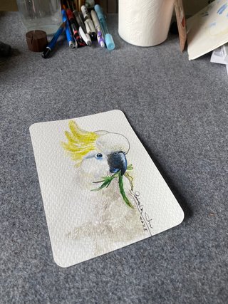 Cartoline di cacatua ad acquerello