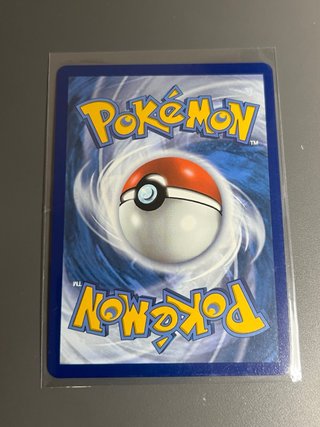 Garbodor V 100/203 Carta Pokémon