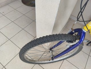 Bicicleta Razesa Delta Plus 26