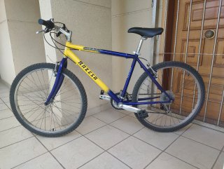 Bicicleta Razesa Delta Plus 26