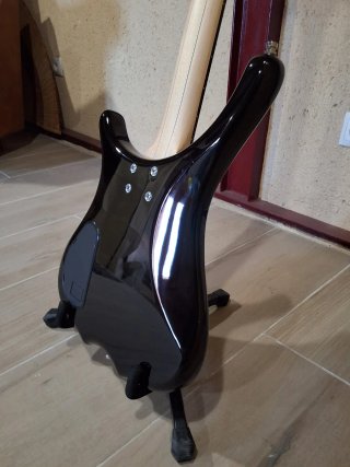 Bajo Warwick RockBass Infinity 4 Fretless.