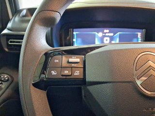 Citroen Berlingo Talla M BlueHDi 130