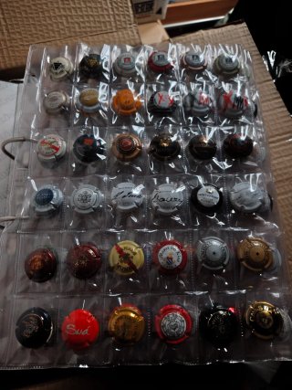 Collezione di tappi di spumante