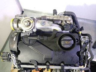 Volkswagen rectp5588122 motor bkc golf v (1k1) 1.9