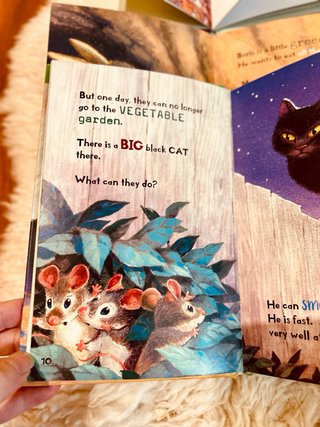 (5-8)Pack 3 libros Easy Reading | en inglés