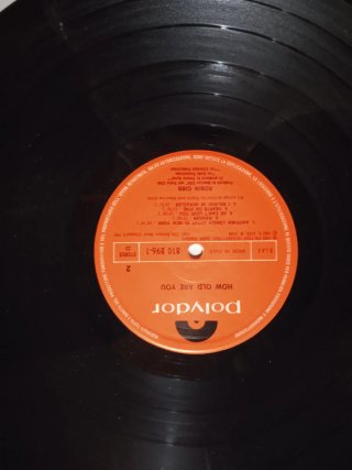LP Robin Gibb - How Old Are You?