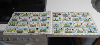Álbum fútbol completo Campeonato Liga 1973-74