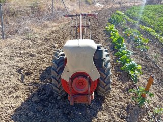 Pascuali con rotovator y discos