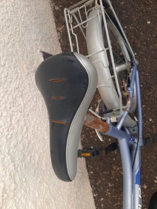 Bicicleta infantile OPTIMA ALP
