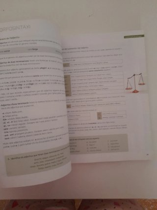 Puntal 2. Llengua catalana i Literatura 2 ESO