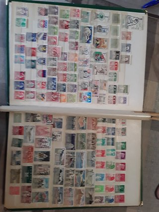 Classificatore Francobolli Mondiali Verde